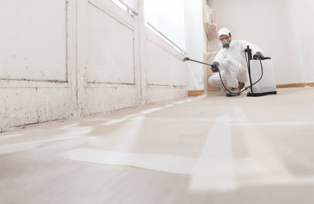 24/7 Emergency Mold Remediation experts in Leesburg, FL